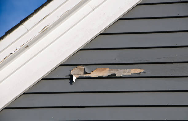 Best Brick Veneer Siding  in Lisbon, ND