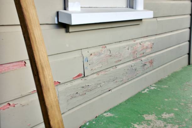 Best Stucco Siding  in Lisbon, ND